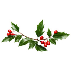 "Festive Holly Charm: A Botanical Holiday Classic"

