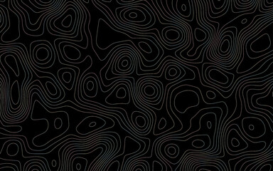 Abstract pattern wave lines seamless topography map and counter map. abstract sea map space geometric line technology topo landscape grid texture. Seamless pattern with lines Topographic map