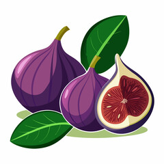 Fig isolated vector white background