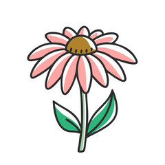 coneflower echinacea flower icon, coneflower echinacea flower vector illustration-simple illustration of coneflower echinacea flower, perfect for coneflower echinacea flower logos and icons
