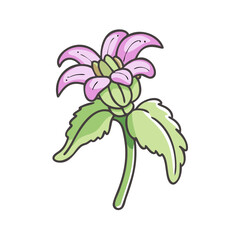 lamium deadnettle flower icon, lamium deadnettle flower vector illustration-simple illustration of lamium deadnettle flower, perfect for lamium deadnettle flower logos and icons
