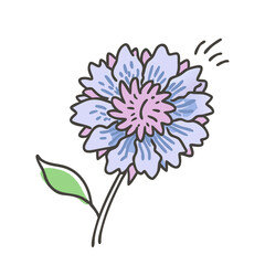 scabiosa flower icon, scabiosa flower vector illustration-simple illustration of scabiosa flower, perfect for scabiosa flower logos and icons