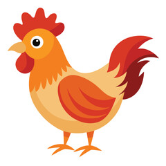 Hen isolated on white