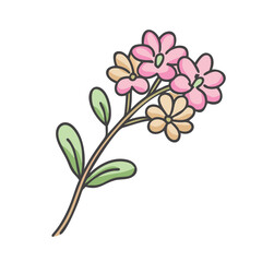verbena flower icon, verbena flower vector illustration-simple illustration of verbena flower, perfect for verbena flower logos and icons