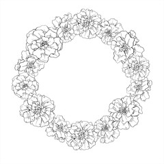 Marigold flower head vector wreath with copy space for text. Blooming tagetes flowers etching drawing painted by black inks. Floral border for garden themed design, for Indian and Mexican festivals
