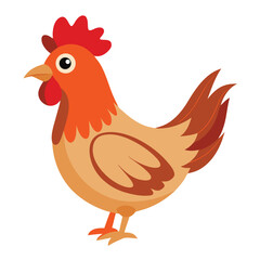 Hen isolated on white