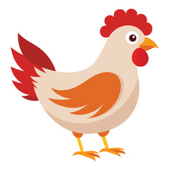 Hen isolated on white