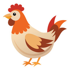 Hen isolated on white