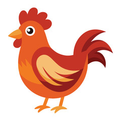 Hen isolated on white