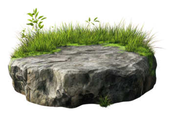 PNG Grass field rocky podium grass isolated vegetation.