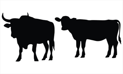 silhouettes of  cow