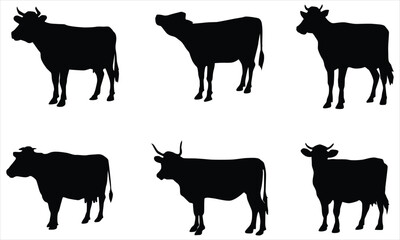 Cow Silhouettes  vector Collection 