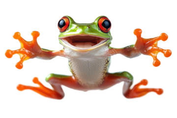 Happy Red Eyed Tree Frog Jumping on Black Background, isolated on transparent background