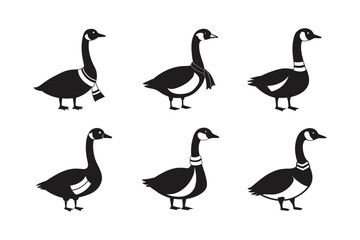 canada goose cartoon with scarf vector art silhouette