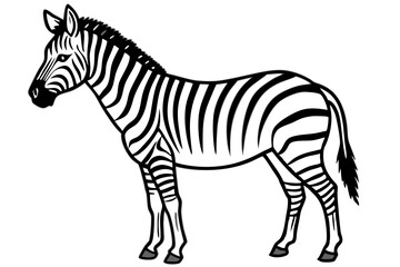 Minimalist Zebra Line Art on White Background