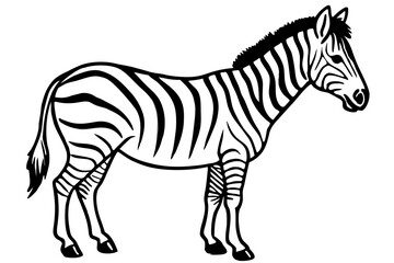 Fototapeta premium Minimalist Zebra Line Art on White Background