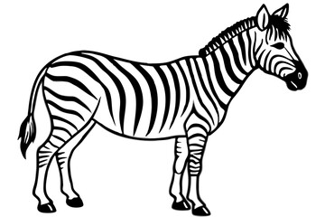 Minimalist Zebra Line Art on White Background