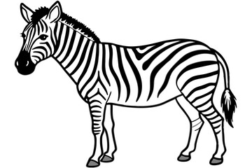 Minimalist Zebra Line Art on White Background