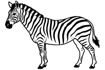 Minimalist Zebra Line Art on White Background