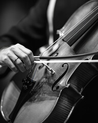 Classical Musicians Composers - Capture the candid moments behind the scenes, such as musicians warming up, rehearsing, or relaxing. 