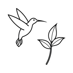 hummingbird sage flower line art vector art illustration