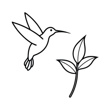 hummingbird flying near leaves, black outline clip art preview