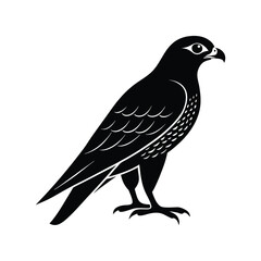 falcon silhouette art