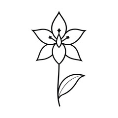 delphinium flower line art vector illustration