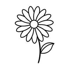 daisy flower line art vector illustration