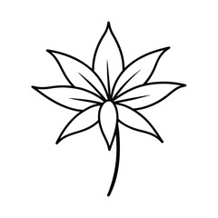 castor bean flower line art vector illustration