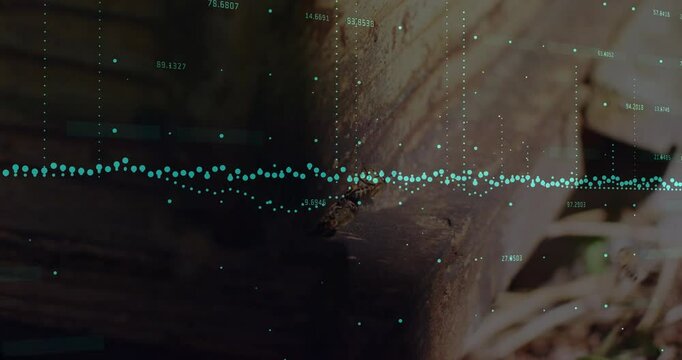 Animation with bee on tree trunk, data visualization overlay with blue dots