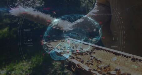In garden, beekeeper examining honeycomb with digital brain animation overlay - Powered by Adobe