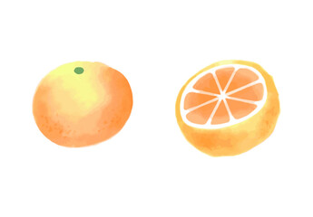 水彩風みかん