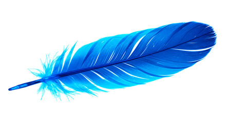 A single vibrant blue feather isolated against a stark black background in sharp focus