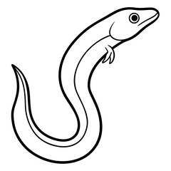 Eel vector line art on white background