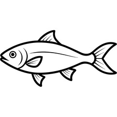 Hilsa  vector line art on white baclground