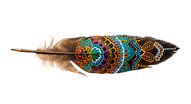 Close up of a feather with intricate colorful mandala style designs on a black background