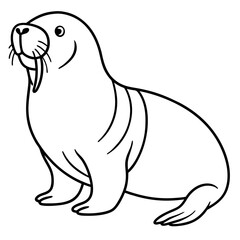 Walrus vector line art on white background