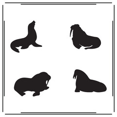 Walruses silhouette, Walruses illustration , Walruses clipart, Walruses vector , Walruses icon , black Walruses , Walruses illustration on white background,