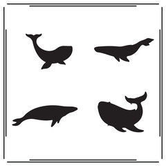 Whale silhouette, Whale illustration , Whale clipart, Whale vector , Whale icon , black Whale , Whale illustration on white background,