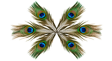 Obraz premium A symmetrical arrangement of six peacock feathers with iridescent blue eyes on a black background