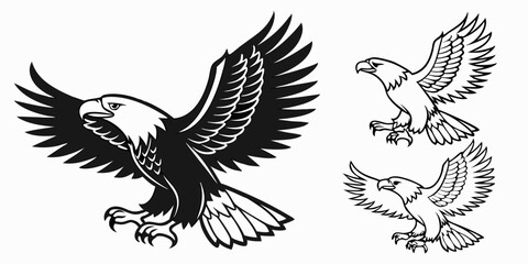 Obraz premium Detailed Black and White Powerful Bald Eagle Vector Graphic Illustration in Vintage Style | Majestic Flying Bird of Prey with Spread Wings | Wildlife Animal Art Design