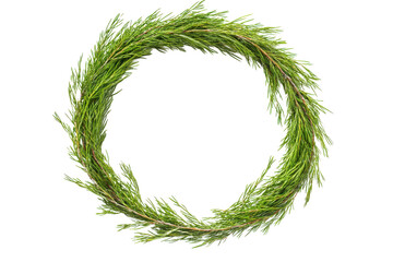 Green wreath made of rosemary sprigs on a white background space