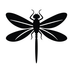 dragonfly on white background