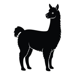 vector illustration of a silhouette of a llama