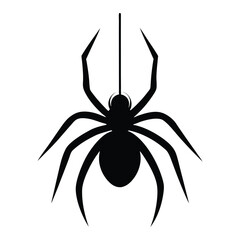 black spider isolated on white