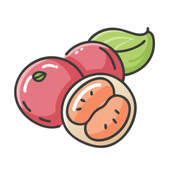 camu camu fruit icon, camu camu fruit vector illustration-simple illustration of camu camu fruit, perfect for camu camu fruit logos and icons