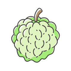 custard apple icon, custard apple vector illustration-simple illustration of custard apple, perfect for custard apple logos and icons