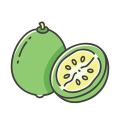 feijoa fruit icon, feijoa fruit vector illustration-simple illustration of feijoa fruit, perfect for feijoa fruit logos and icons