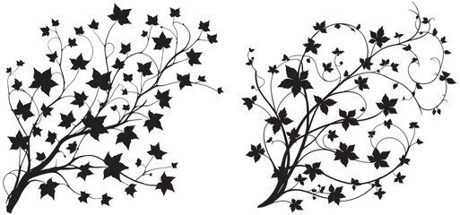 Set of Tree Branches Silhouette. Black silhouettes of tree branches isolated on white background